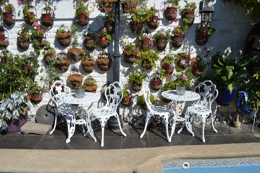Hotel Vendimia Boutique Санта-Крус Екстер'єр фото